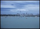 Auckland - the City of sails