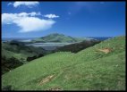 Otago Peninsula view