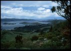 View from Larnach castle gardens