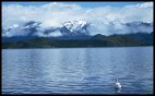 Beautiful Lake Manapouri