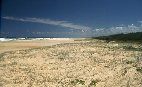 Fraser Island dunes