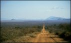 Road through Tsavo East