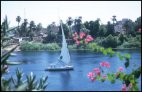 Nile scenery from Botanic Island