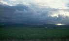 Storm over sugar fields